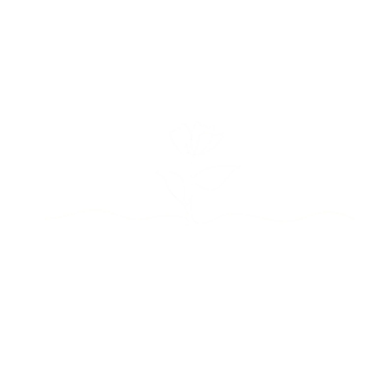 cms icon
